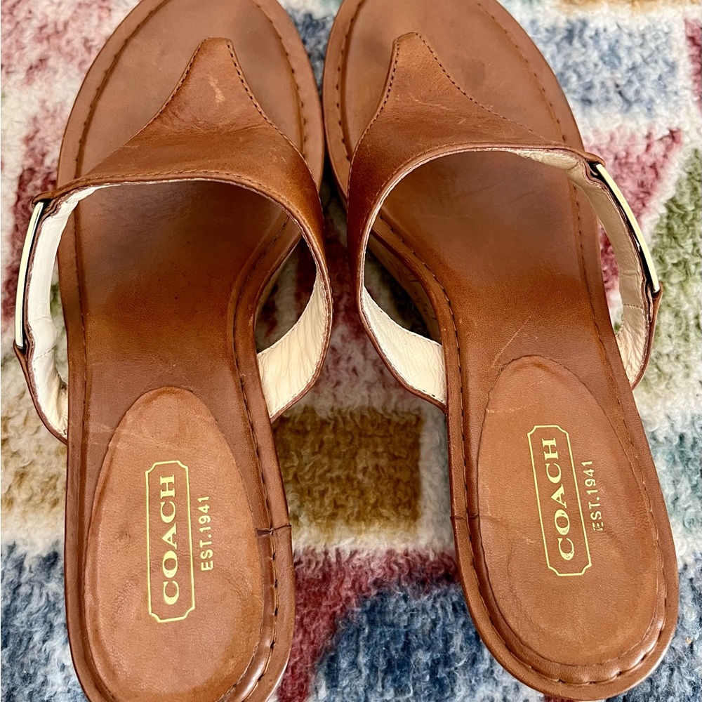 Coach Jan Women's Chestnut Leather Cork Wedge platform sandals Size 7B EUC! $168 - Picture 2 of 9